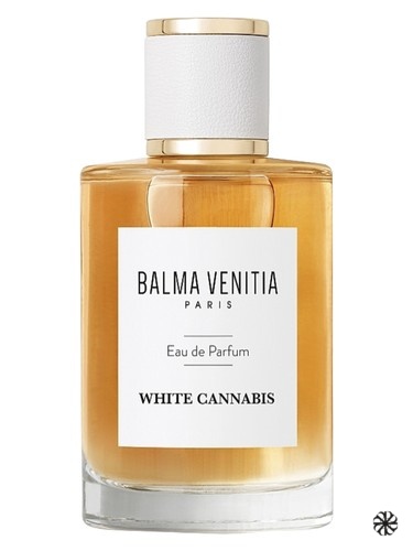 White Cannabis Balma Venitia