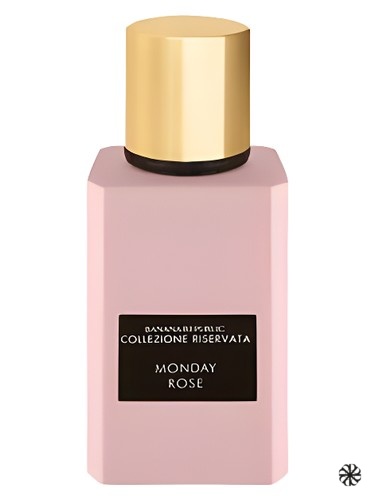Monday Rose Banana Republic