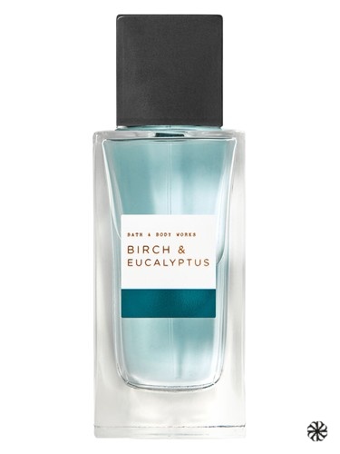 Birch & Eucalyptus Bath & Body Works