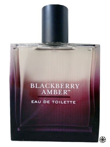 Blackberry Amber Bath & Body Works