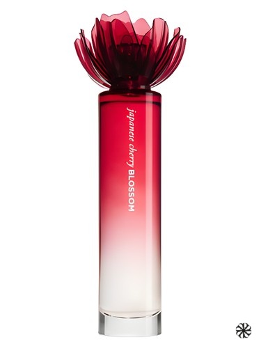 Japanese Cherry Blossom 2011 Bath & Body Works