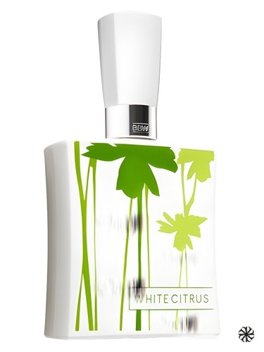 White Citrus Bath & Body Works