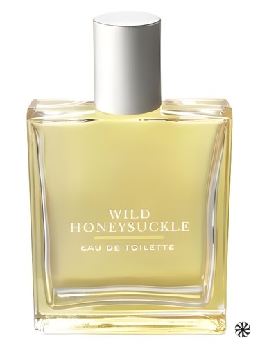 Wild Honeysuckle Bath & Body Works
