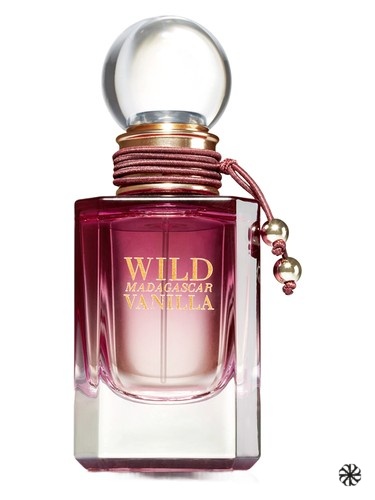 Wild Madagascar Vanilla Bath & Body Works