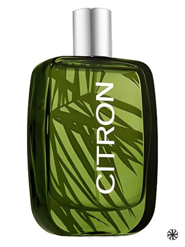 Citron For Men Bath & Body Works