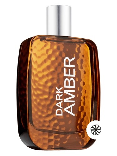 Dark Amber for Men Bath & Body Works