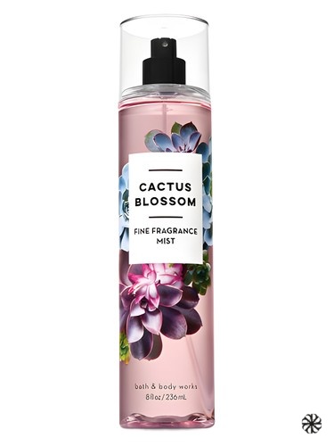Cactus Blossom Bath & Body Works