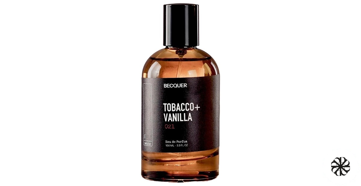 Tobacco + Vanilla Becquer