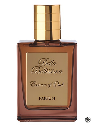 Royal Saffron Bella Bellissima
