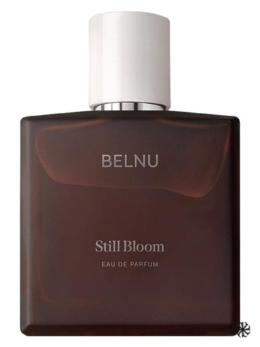 Still Bloom Belnu