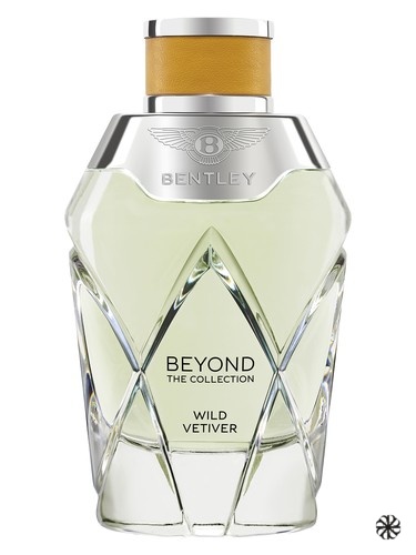 Wild Vetiver Bentley
